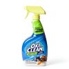 OxiClean Pet Stain Remover Carpet Odor Eliminator Church-10