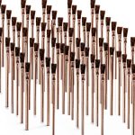 Acid Brushes Pro Grade 72 Count 3/8" Boar Hair Paint Brush Set-0